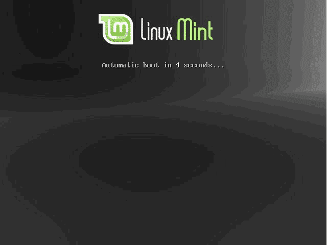 How to install Linux Mint in dual-boot with Windows