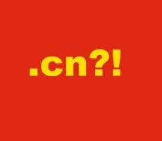 Prevara sa laznim CN domenima